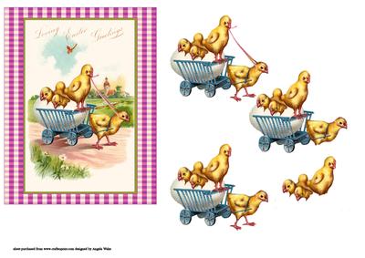 Get a Move on Chicks Hatching