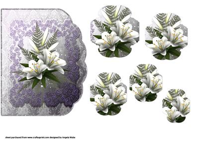 Lilly Fern Scallop