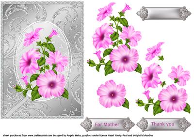 Beautiful Pink Petunias