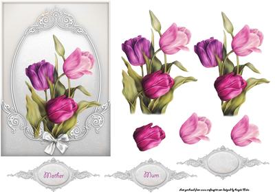 Pink and Purple Tulips