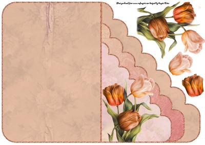 Tulip Scallop