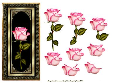 A Single Rose