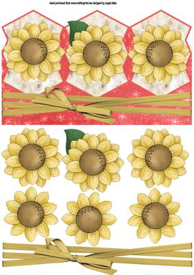 Sunflower Heads