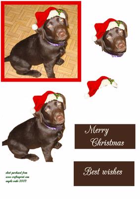 Christmas Lab