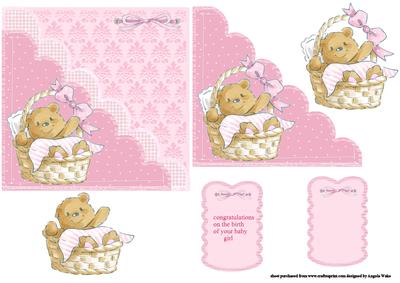 Baby Bear Pocket Scallop
