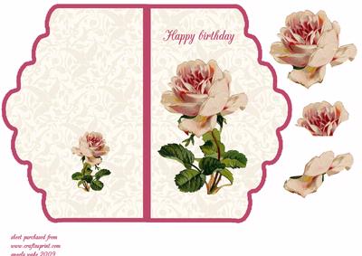 Pink Rose