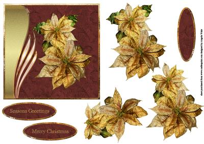Gold Poinsettia