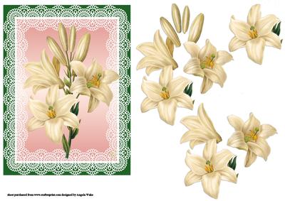 Lilies of Love