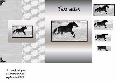 Black Stallion, Free as a Bird