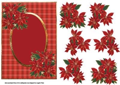 Red Poinsettias