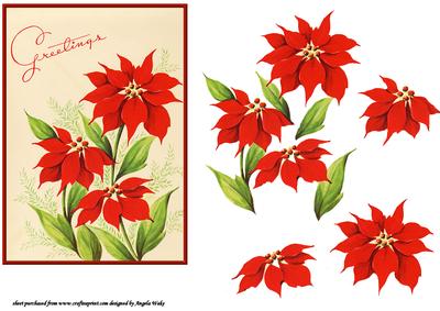 Flowers for Christmas