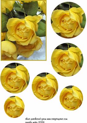 Yellow Rose Golden Wedding