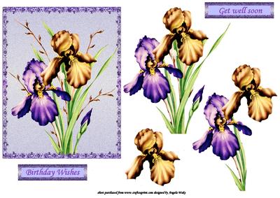 Iris Vintage Style