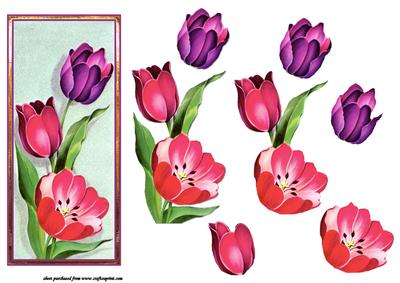 Tulips Vintage