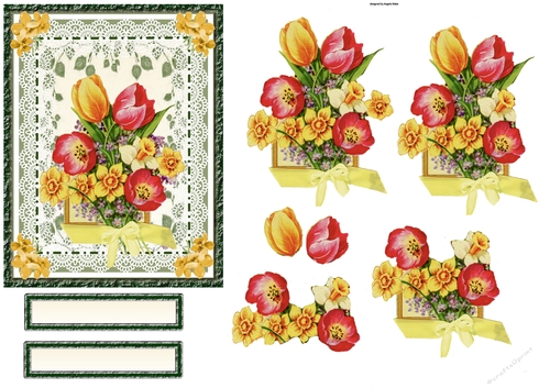 Tulips, Daffs and the Smell of Spring