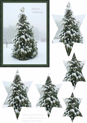 Star Christmas Tree in the Snow