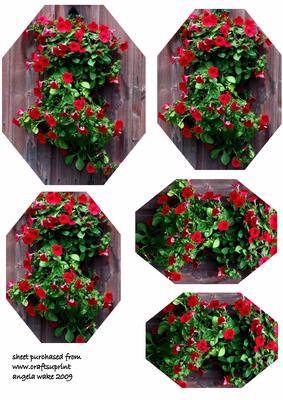 Wall of Flowers