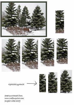 4trees in the Park