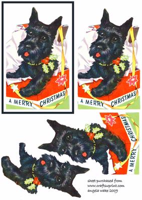 Scotie Dog for Christmas