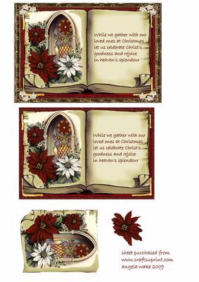 Poinsettia and Church Window
