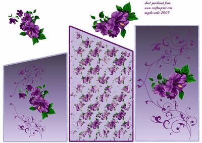 Purple Morning Glory