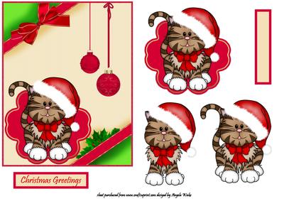 Christmas Cat and Baubles