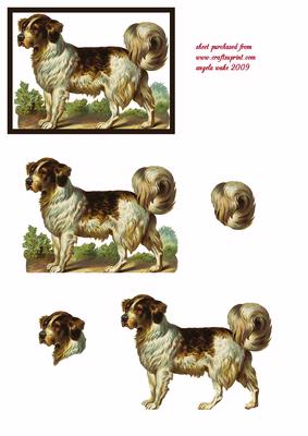 A Man's Best Friend is a Dog?