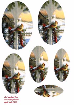 Cardinal Sitting on the Prch Fence in the Snow