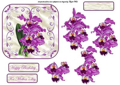 Purple Flowers