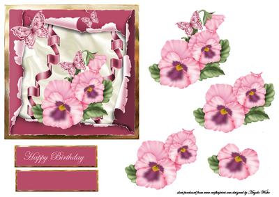 Pink Pansy