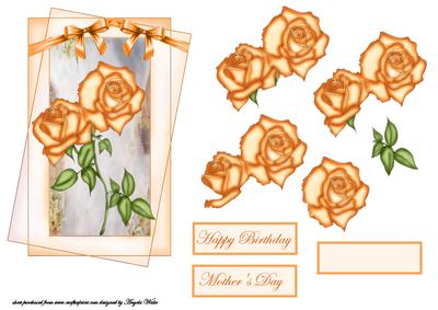 Orange Rose