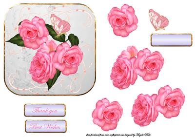 Fresh Pink Roses