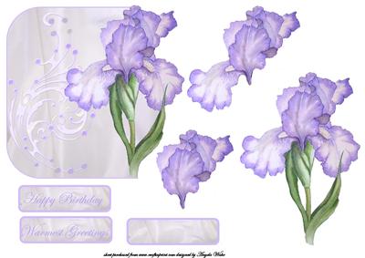 Purple Iris Over the Edge