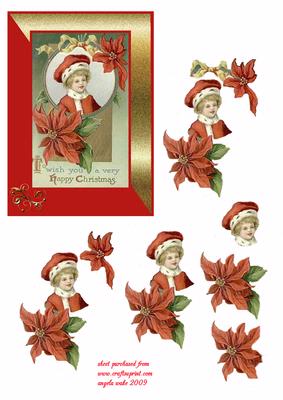 Red Fur Trimmed Hat and Poinsettias
