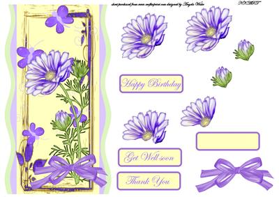 Purple Daisy