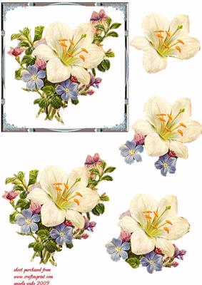 Florals of Thanks