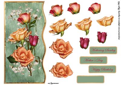 Roses and Babies Breath