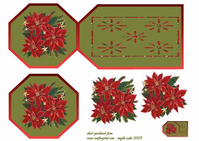 Poinsettia Flowers