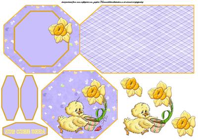 Daffodil for You