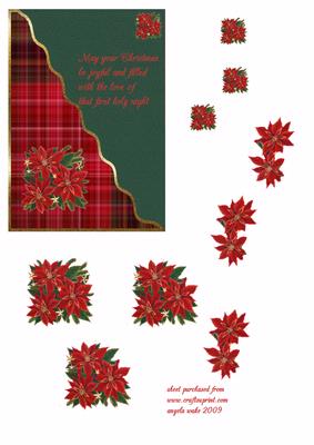 Red Plaid and Poinsettias