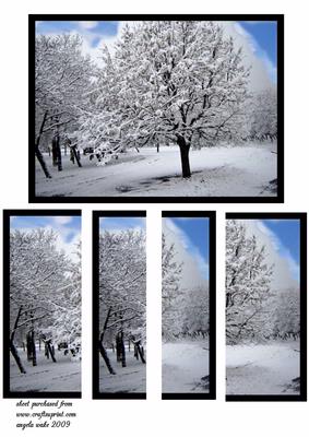 Winter Wonderland Snow Covered Trees