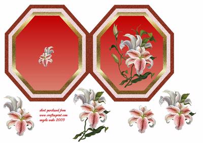 Lilies Splendour