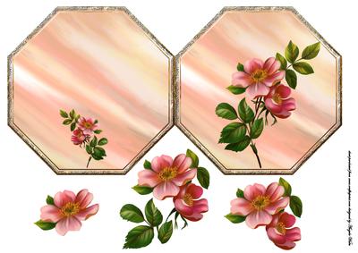 Hedge Rose Octagon Card