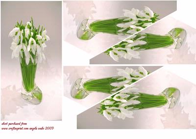 Snowdrops for Early New Year