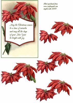 Christmas Season and Poinsettias