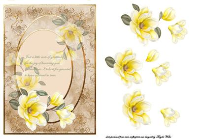 Yellow Magnolia, Thank You Friend