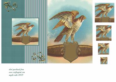 A Bird of Prey