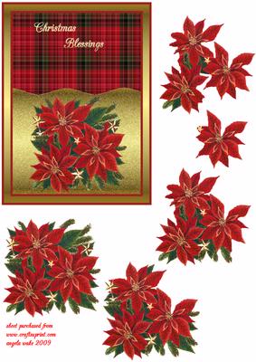 Poinsettia's on Gold with Stars