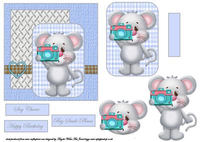 Mouse Photographer
