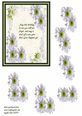 Daisies to Bring a Smile
